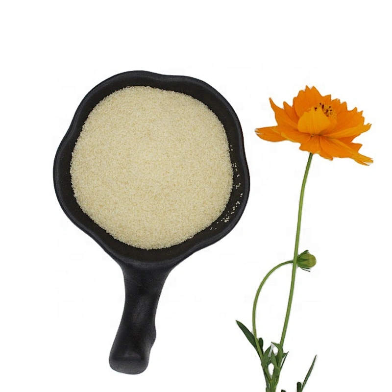 Food Grade, Industrial Grade and Pharmaceutical Grade Gelatin with High Bloom 80-300 Bloom